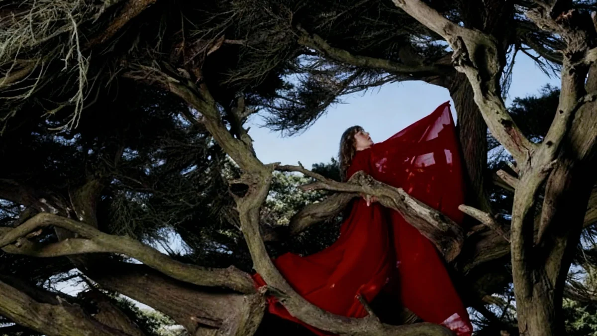 Hannah Frances Releases New Album 'Nested in Tangles'