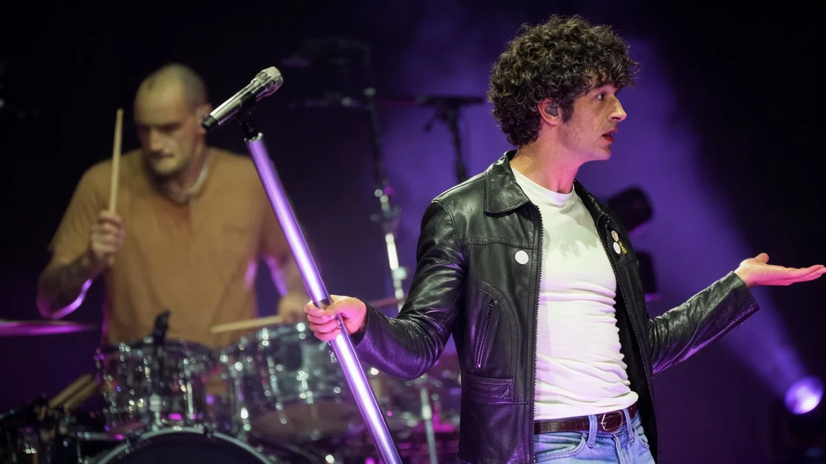 The 1975's Matthew Healy Removes Album Track 'Human Too'